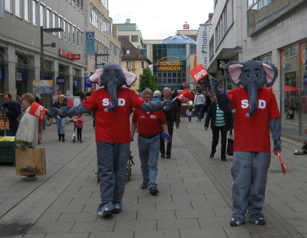 Die SPD-Elefanten waren heute wieder im Einsatz